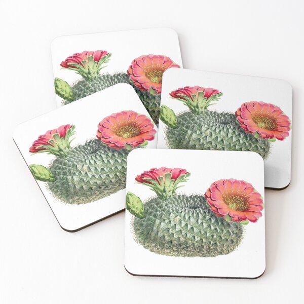Item preview, Vintage fishhook cactus illustration designed and sold by AntiquusForma.