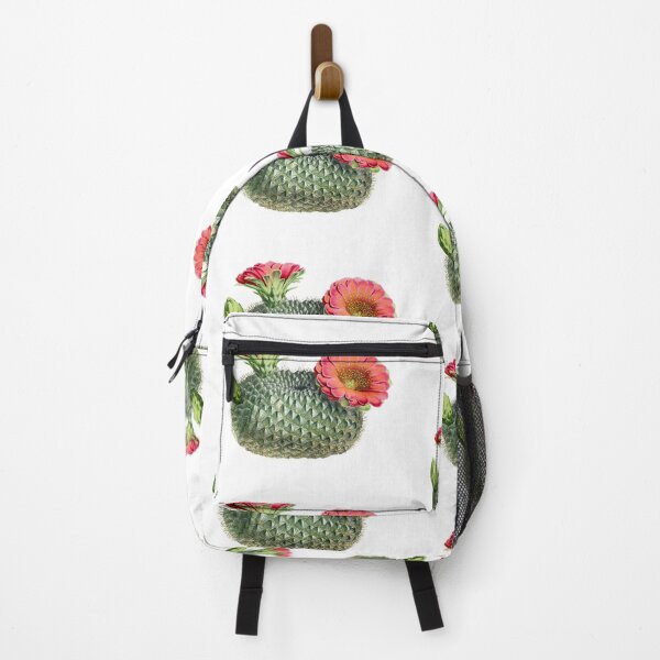 Item preview, Vintage fishhook cactus illustration designed and sold by AntiquusForma.
