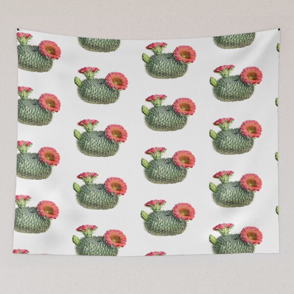 Item preview, Vintage fishhook cactus illustration designed and sold by AntiquusForma.