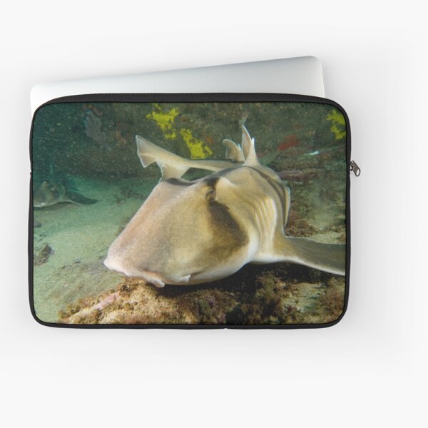 Port Jackson Shark Laptop Sleeve