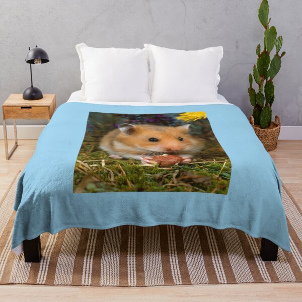Item preview, Cute Pet Golden Hamster Eating a Hazelnut designed and sold by ScienceSource.