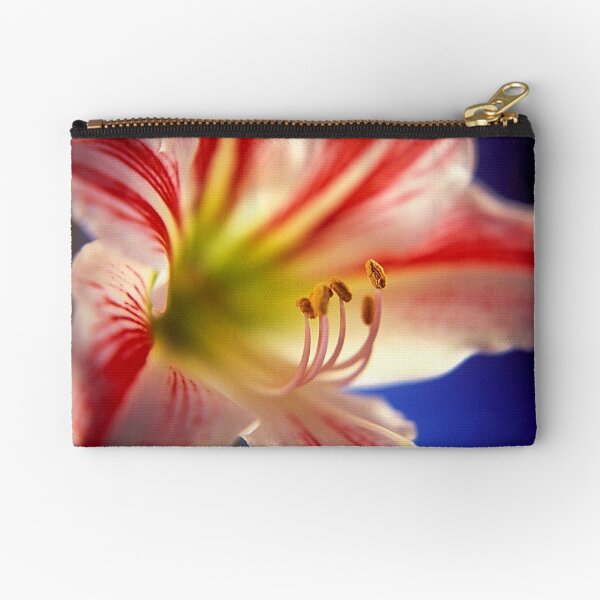 Amarilys Zipper Pouch