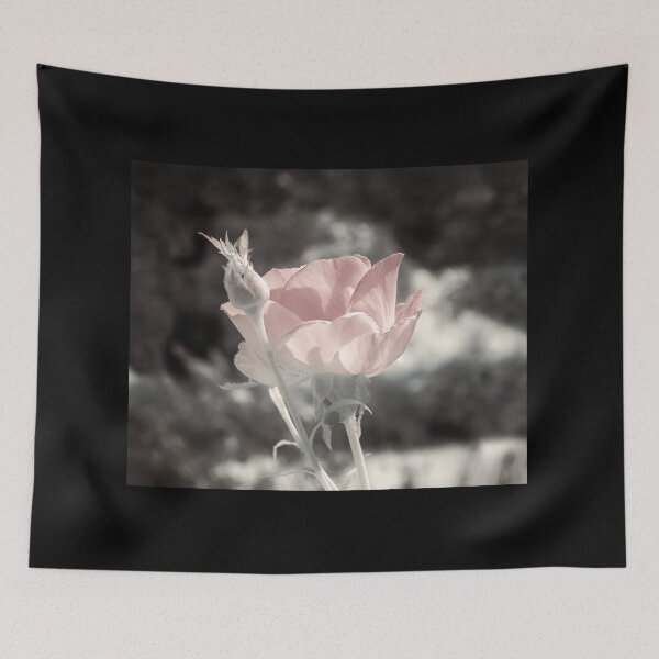 Item preview, Soft Pink Rose designed and sold by BonniePhantasm.