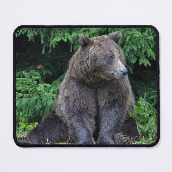 Item preview, Wild Bear designed and sold by Yair Karelic.