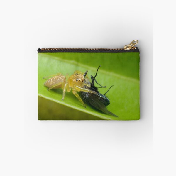 Item preview, Jumping Spider with Prey designed and sold by Andrew Trevor-Jones.