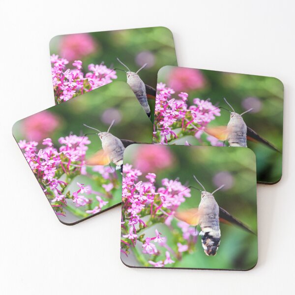 Item preview, Hummingbird Hawk-moth butterfly sphinx insect flying on valerian pink flowers designed and sold by Grégory DUBUS.