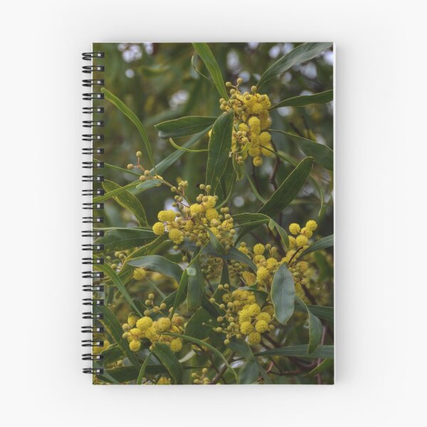 Item preview, Mimosa Blooming Lovely designed and sold by lynn carter.
