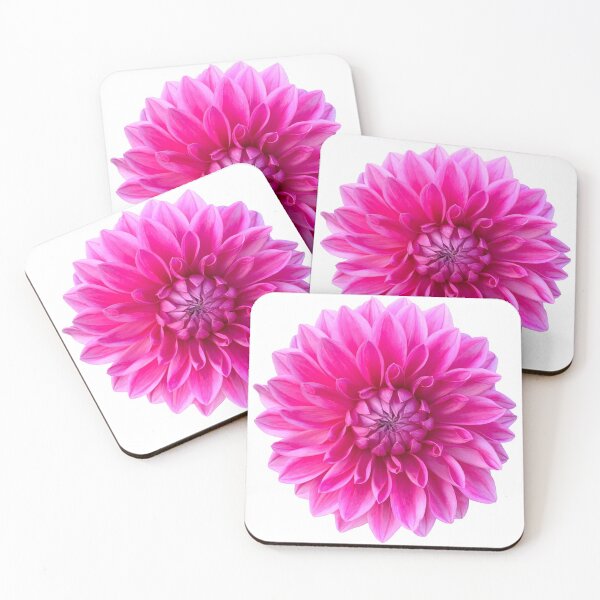 Item preview, Pink Dahlia Flower Still Life Floral Photography designed and sold by CottoVerdi.