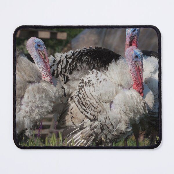 Item preview, Turkeys designed and sold by Yair Karelic.