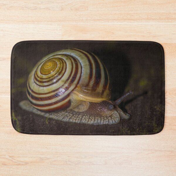 Item preview, Banded Mysterysnail designed and sold by Bill Spengler's Photographic Thoughts.