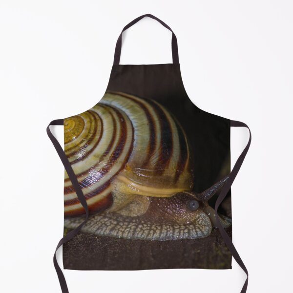 Item preview, Banded Mysterysnail designed and sold by Bill Spengler's Photographic Thoughts.