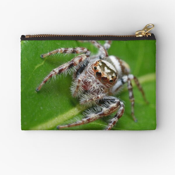 Garden Jumping Spider Zipper Pouch