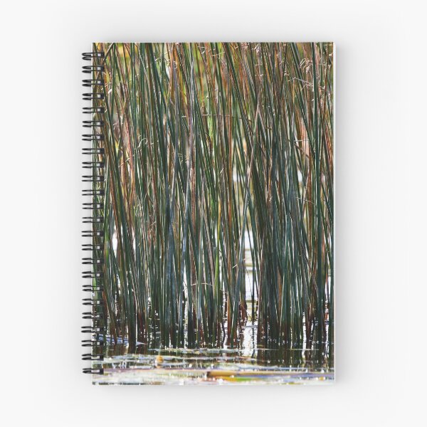 Item preview, Lakeshore bulrush in wind designed and sold by Jouko Lehto Photography.
