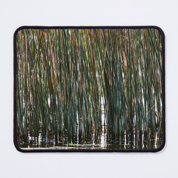 Item preview, Lakeshore bulrush in wind designed and sold by Jouko Lehto Photography.