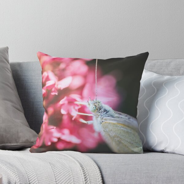 Item preview, Macro of Pieris Napi butterfly insect placed on pink valerian flowers designed and sold by Grégory DUBUS.
