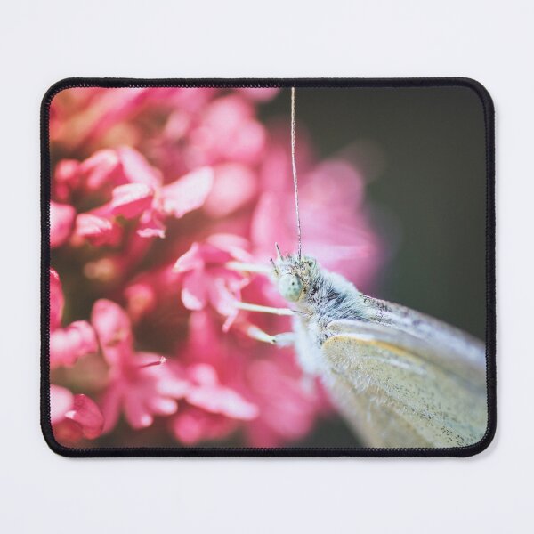 Item preview, Macro of Pieris Napi butterfly insect placed on pink valerian flowers designed and sold by Grégory DUBUS.