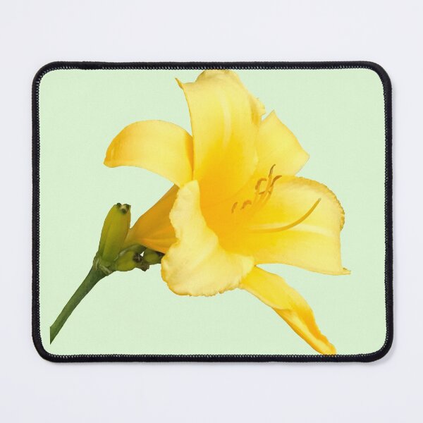 Item preview, A Single Yellow Day Lily Bloom designed and sold by KathyLav.