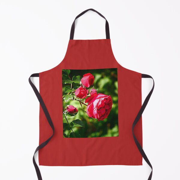 Item preview, Arch Roses designed and sold by angel1.