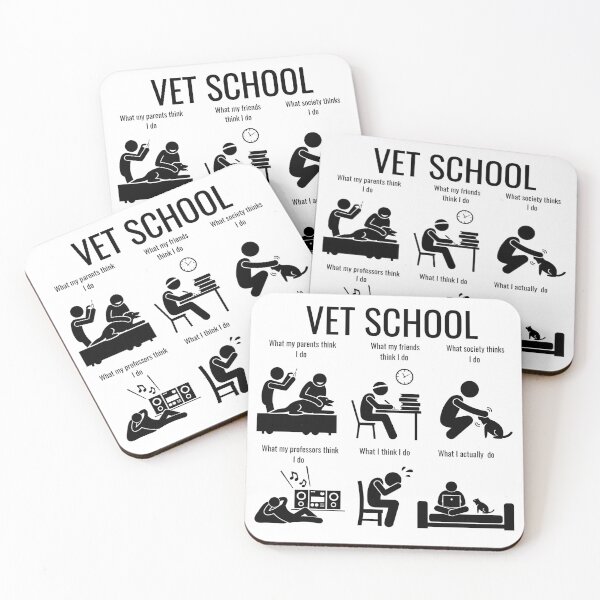 Item preview, Vet School What I think designed and sold by introVETed.