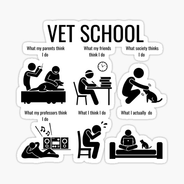 Vista previa del artículo con la obra «Escuela veterinaria Lo que pienso», diseñado y vendido por introVETed.