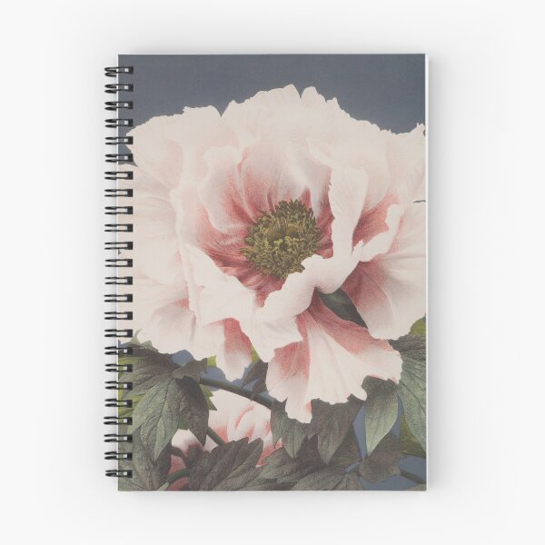 Item preview, pink flower designed and sold by DiviaDesigns.