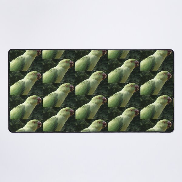 Item preview, Ring Necked Parakeet Close Up Photograph designed and sold by naturegallery.