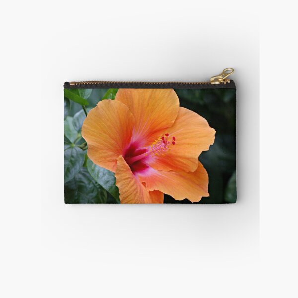 Item preview, Orange Chaba designed and sold by PixPlanet.