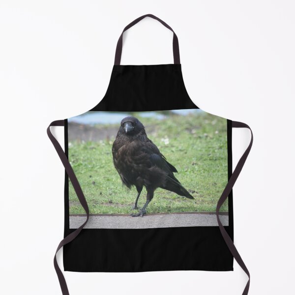 Item preview, Posing Carrion Crow Photograph designed and sold by naturegallery.