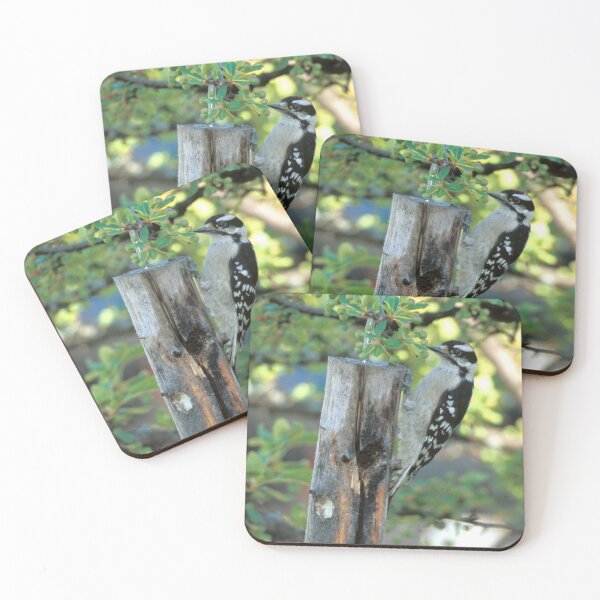 Item preview, Downy Woodpecker #2 designed and sold by Bill Spengler's Photographic Thoughts.