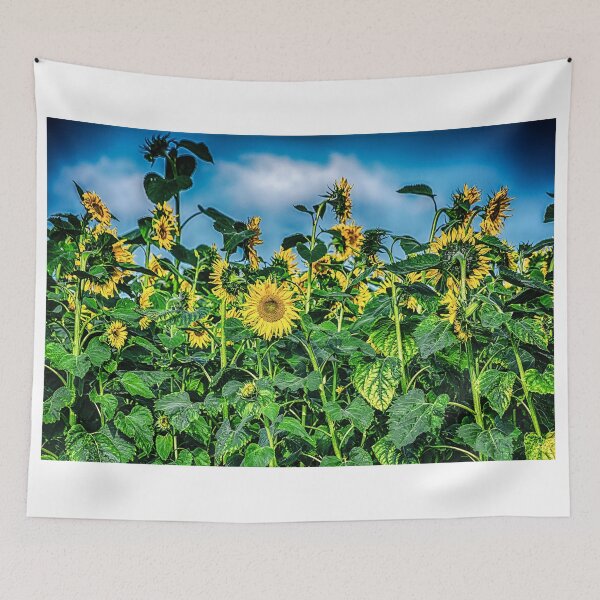 Item preview, Sunflower Field designed and sold by BonniePhantasm.