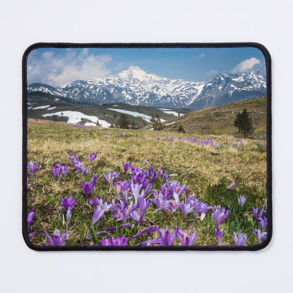 Item preview, Mountains and crocus flowers on Velika Planina, Slovenia designed and sold by Patrik Lovrin.