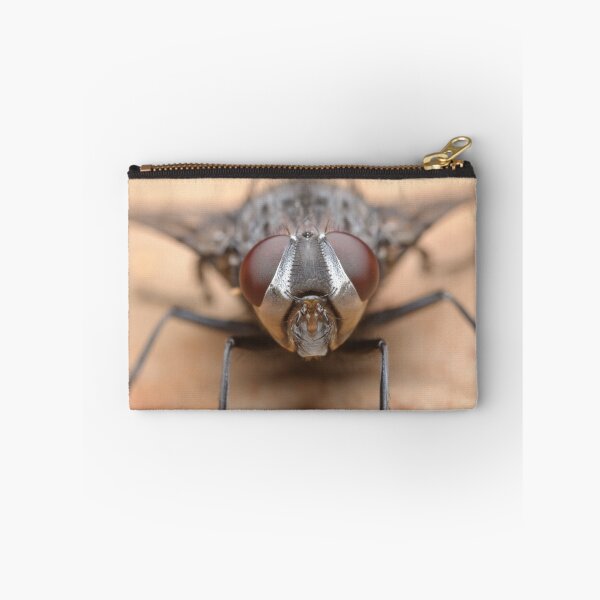 Item preview, Tachinid Fly designed and sold by Andrew Trevor-Jones.
