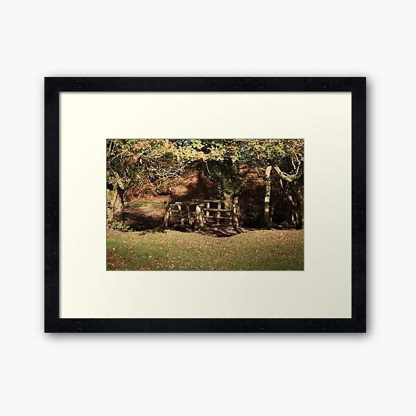 Bridge over the Stream Framed Art Print