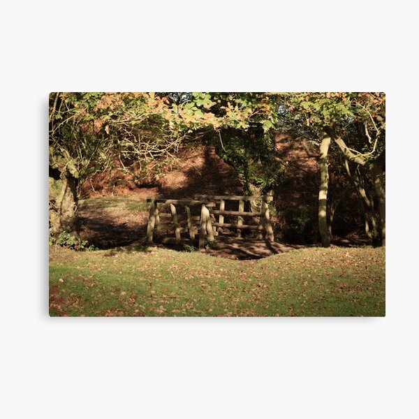 Bridge over the Stream Canvas Print