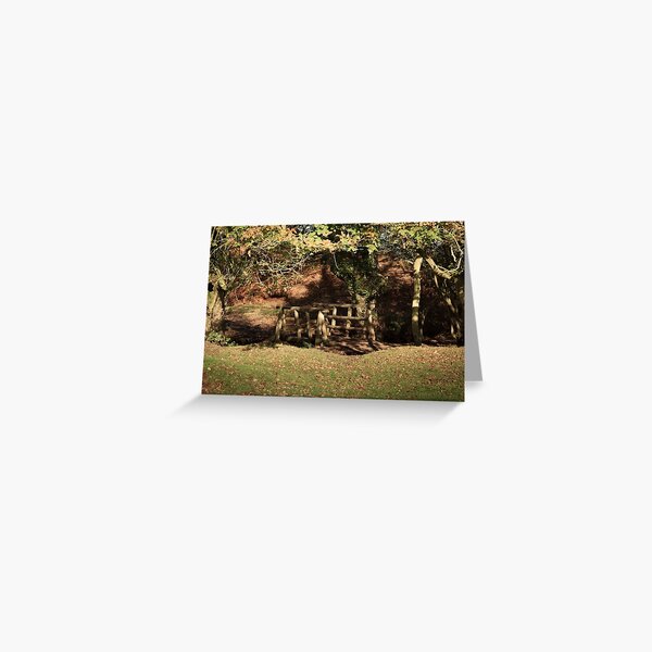 Bridge over the Stream Greeting Card