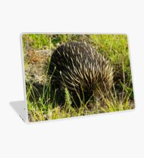 Echidna Laptop Skin