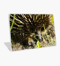 Echidna Laptop Skin