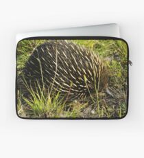 Echidna Laptop Sleeve