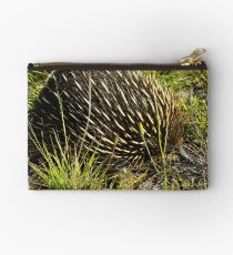 Echidna Studio Pouch