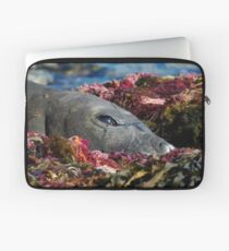 Lazin on a Sunny Afternoon Laptop Sleeve