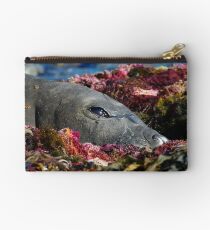 Lazin on a Sunny Afternoon Studio Pouch