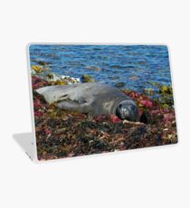 Lazin on a Sunny Afternoon Laptop Skin