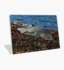 Lazin on a Sunny Afternoon Laptop Skin
