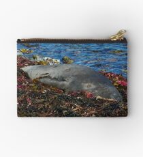 Lazin on a Sunny Afternoon Studio Pouch