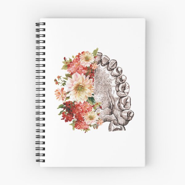 Item preview, Maxilla with coral flowers - Dental designed and sold by guaka-molly.