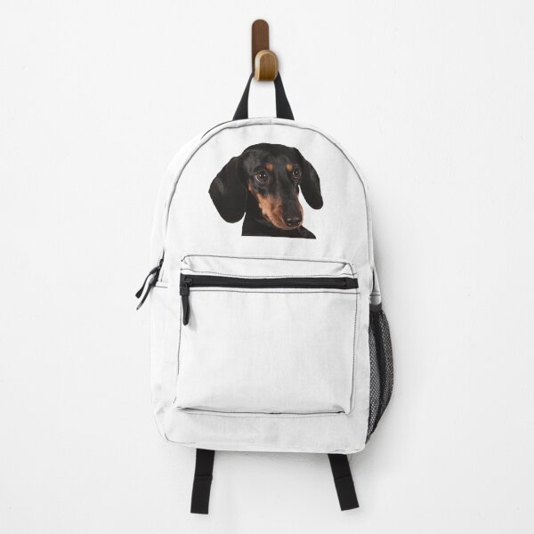 Item preview, Dachshund Sticker designed and sold by apuppyfeed.