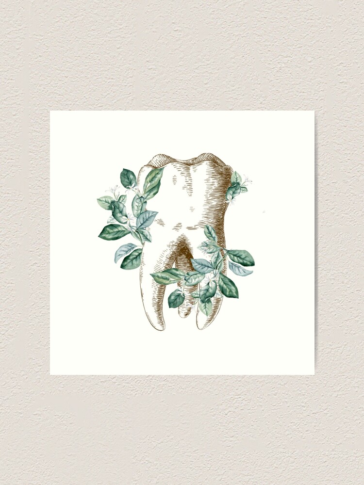 Impression artistique for Sale avec l'œuvre « Dent avec feuilles - Dentaire  » de l'artiste guaka-molly