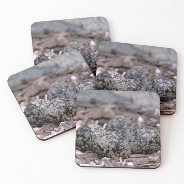 Item preview, Killdeer Clutch designed and sold by Bill Spengler's Photographic Thoughts.