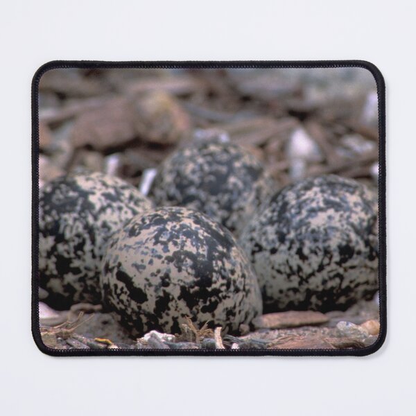 Item preview, Killdeer Clutch designed and sold by Bill Spengler's Photographic Thoughts.