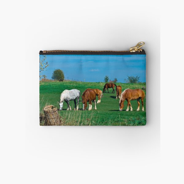 Item preview, Belgian and Percheron Draft Horses on a Mennonite Farm designed and sold by MarkEmmerson.